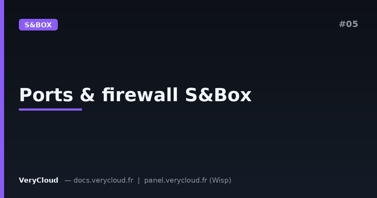 Ports, firewall, and NAT for an S&Box server