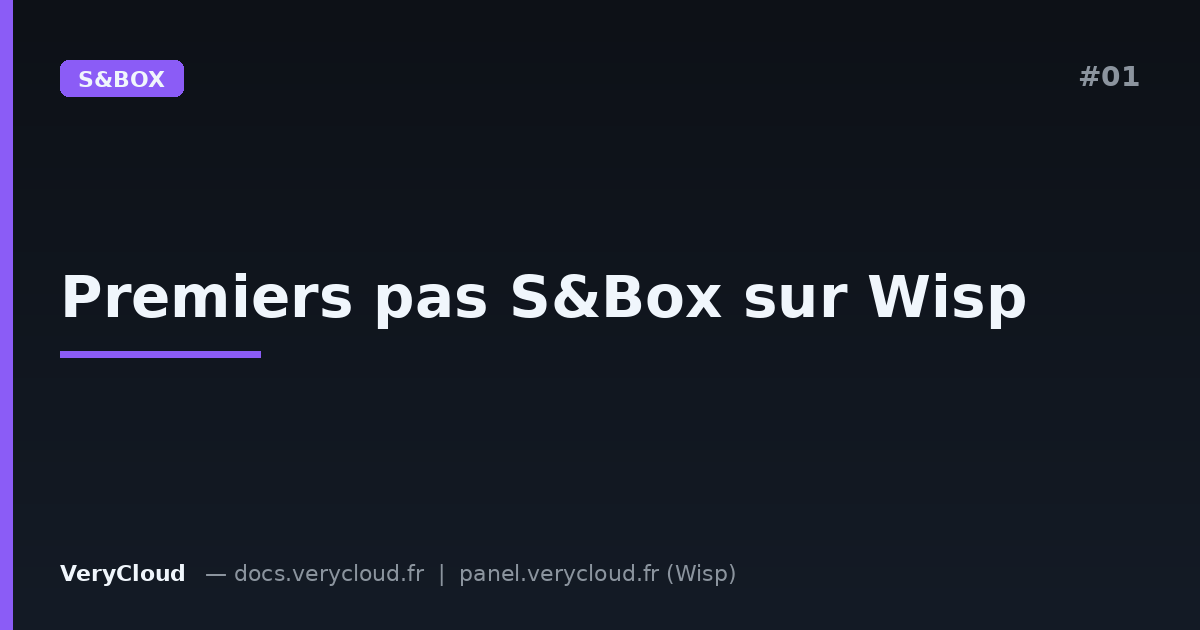Getting started with an S&Box server on Wisp