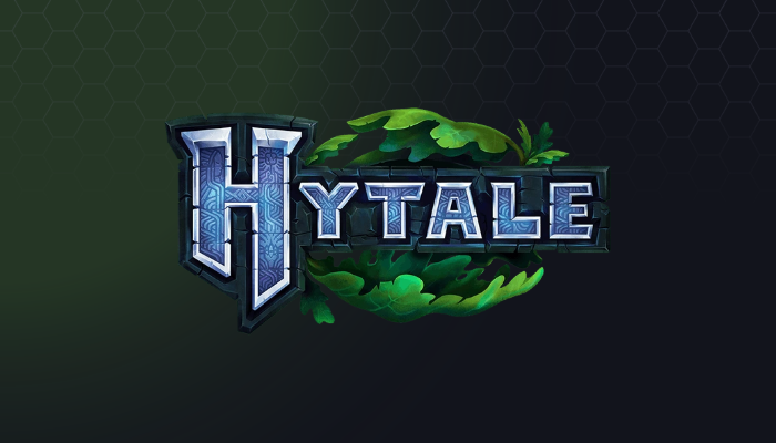Domain Name Configuration (DNS) - Hytale