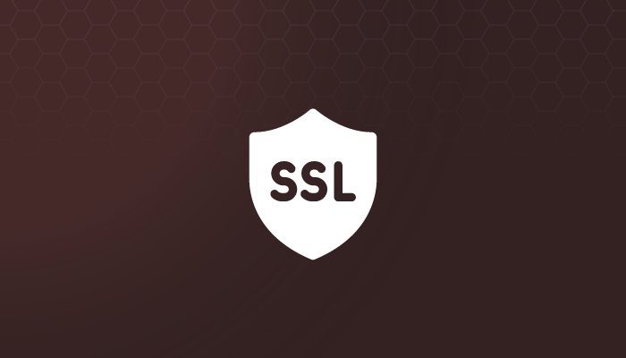 How to Generate a Let’s Encrypt SSL Certificate for Your Website